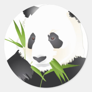 Sticker Rond Ours Panda