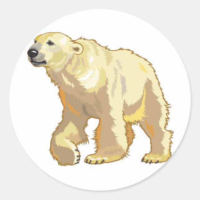 Sticker Rond ours polaire (Devant)