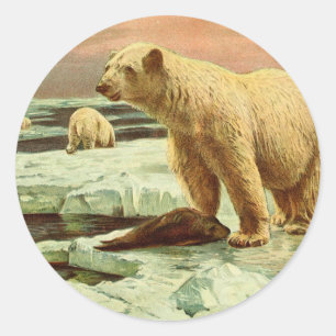 Sticker Rond ours polaires sur les glaciers dessin artistique d