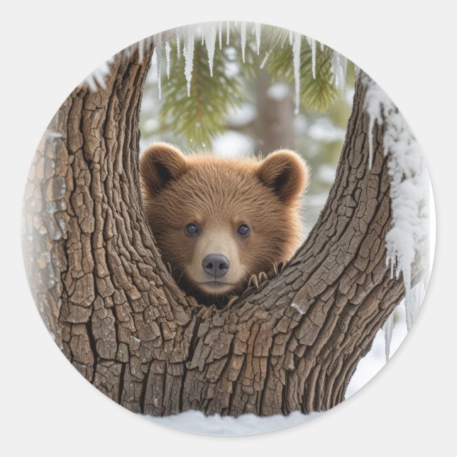 Sticker Rond ourson d'hiver (Devant)