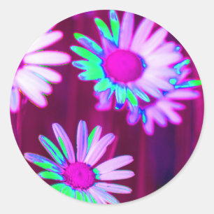 Sticker Rond Oxeye Daisy Meadow Pop Art Style