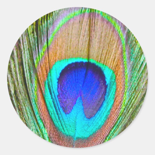 Sticker Rond Pacock (Devant)