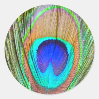 Sticker Rond Pacock