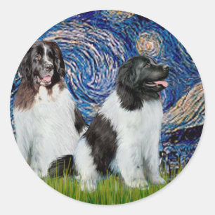 Sticker Rond Paire de Landseer Terre-Neuve - Nuit étoilée