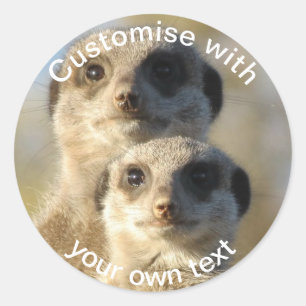 Sticker Rond Paires faites sur commande de Meerkats