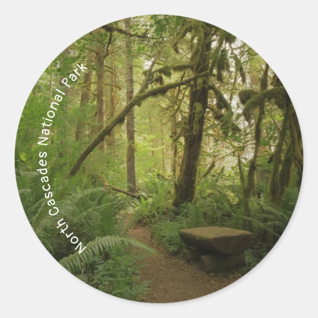 Sticker Rond Paisible Green Forest Trail à Washington (Devant)