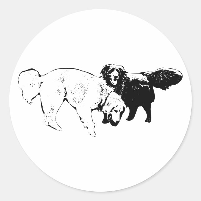 Sticker Rond Pal lumière et ombre (Devant)