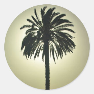 Sticker Rond Palm ensoleillé