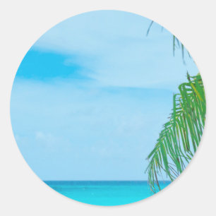 Sticker Rond Palm Feuilles Blue Sky Mer Nuages Blank Modèle