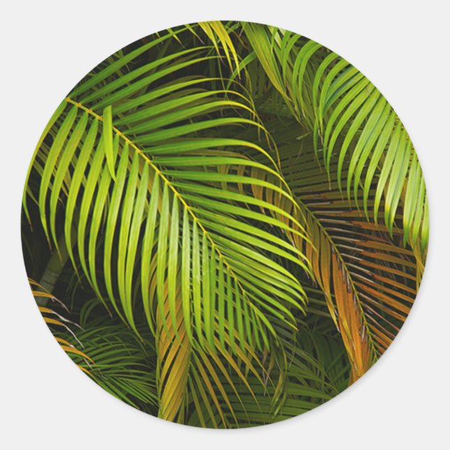 Sticker Rond Palm Tree Feuille Summer Beach Mariage tropical (Devant)