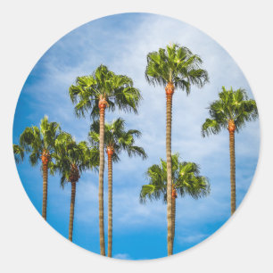 Sticker Rond Palm Trees à San Diego, Californie