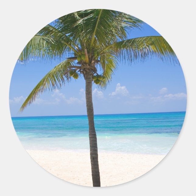 Sticker Rond Palmier des Bahamas (Devant)