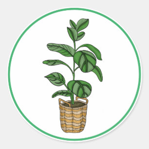 Sticker Rond Palmier du voyageur tiré à la main