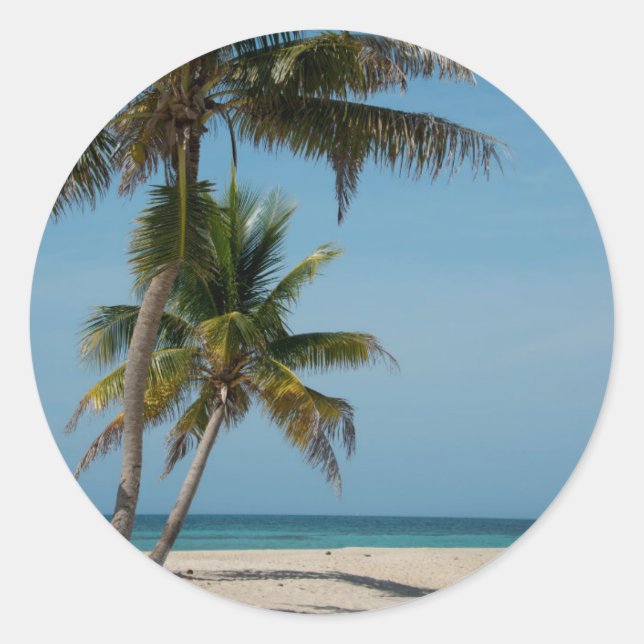 Sticker Rond Palmier et plage de sable blanc (Devant)