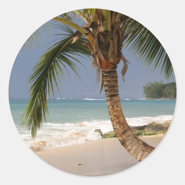 Sticker Rond palmier exotique sur la plage (Devant)