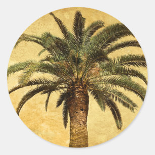 Sticker Rond Palmier vintage - modèle customisé tropical