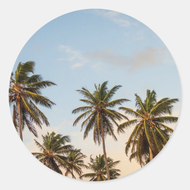 Sticker Rond Palmiers de vacances tropicaux (Devant)