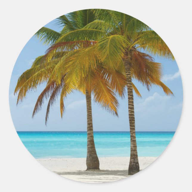 Sticker Rond Palmiers pittoresques sur une plage tropicale (Devant)