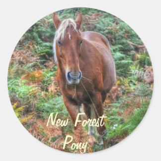 Sticker Rond Palomino Rare New Forest Pony & Bracken - Angleter