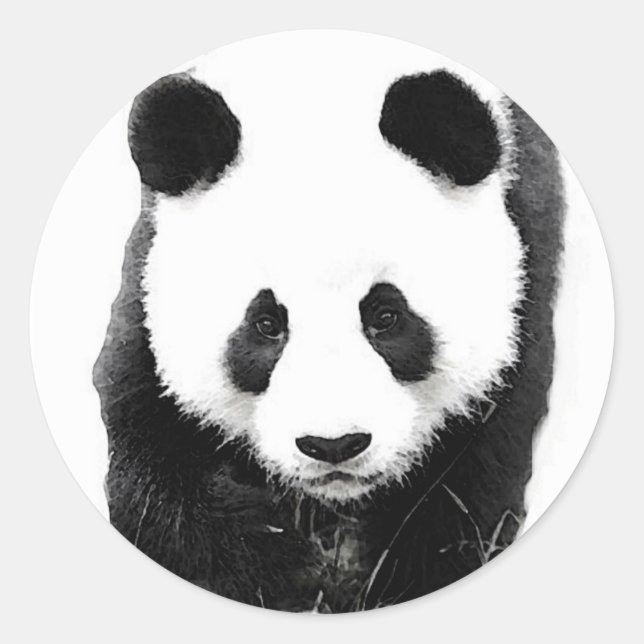 Sticker Rond Panda (Devant)