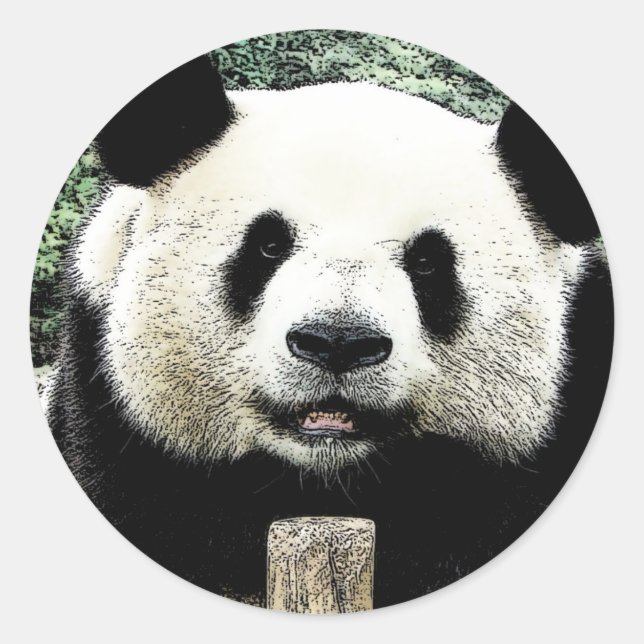 Sticker Rond Panda (Devant)