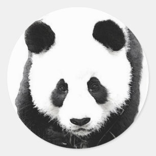 Sticker Rond Panda