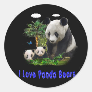 Sticker Rond panda beras
