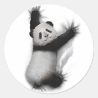 Panda Chemise Humoristique Graphisme Animal T-Shir