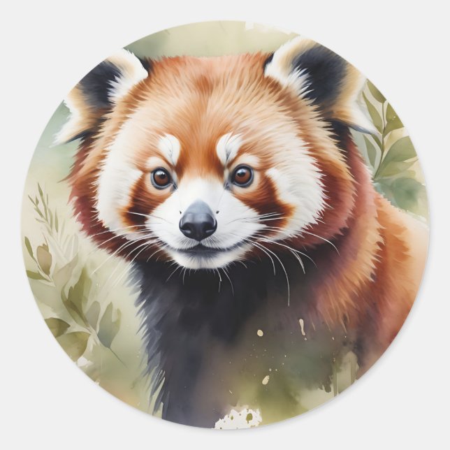 Sticker Rond Panda rouge dans une aquarelle délicate (Devant)