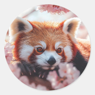 Sticker Rond Panda Rouge Parmi Les Fleurs De Cerisiers