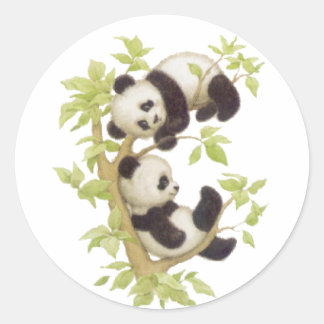Sticker Rond Pandas jouant dans un arbre