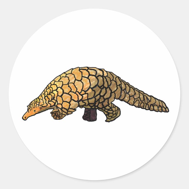 Sticker Rond pangolin (Devant)