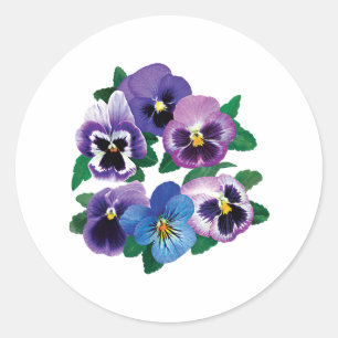 Sticker Rond Pansies cercles pourpres