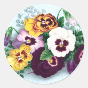 Sticker Rond Pansies violettes et fougères délicates