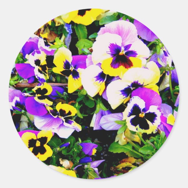 Sticker Rond pansy flowers (Devant)