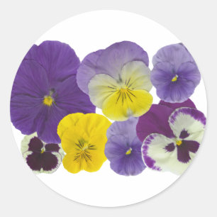 Sticker Rond pansy flowers