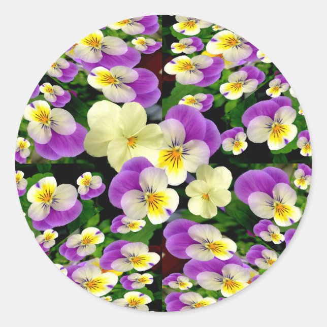 Sticker Rond Pansy Perfect ~ Enveloppe Sealers/Stickers (Devant)