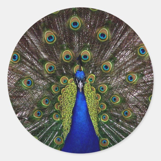 Sticker Rond paon (Devant)