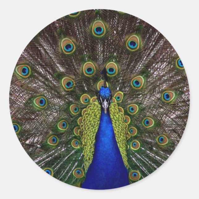 Sticker Rond paon (Devant)