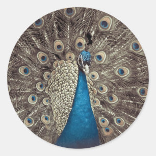 Sticker Rond Paon Bleu Antique