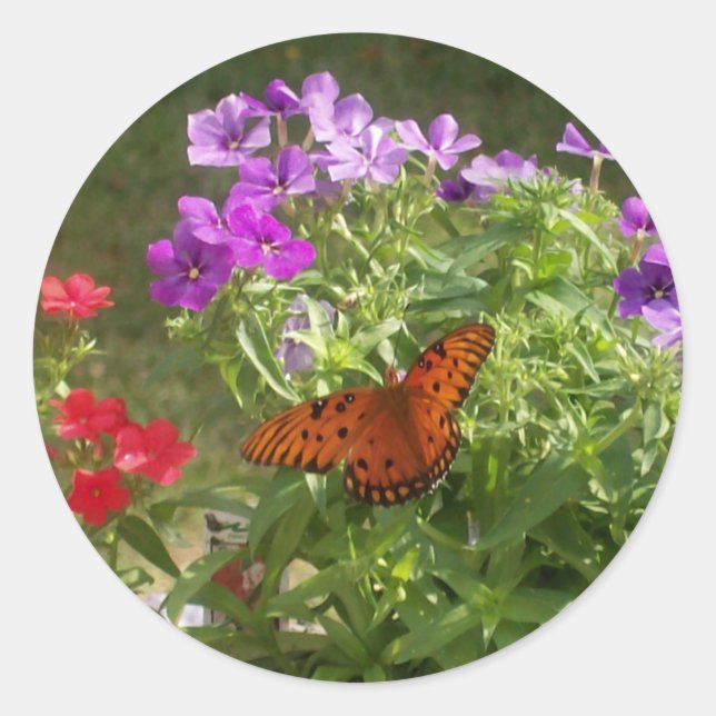 Sticker Rond Papillon (Devant)