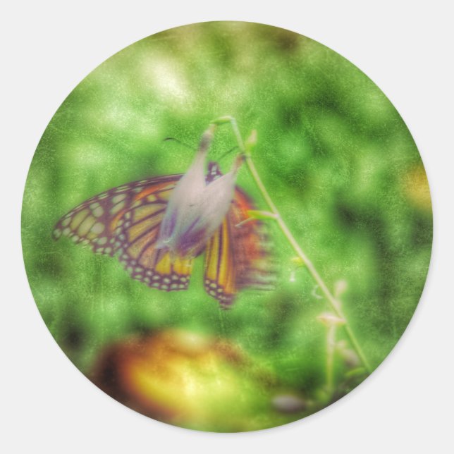 Sticker Rond Papillon (Devant)
