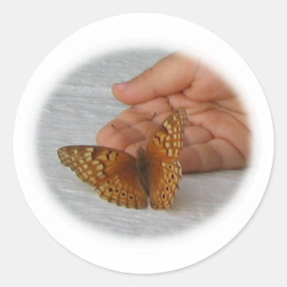 Sticker Rond Papillon