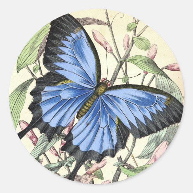 Sticker Rond Papillon (Devant)