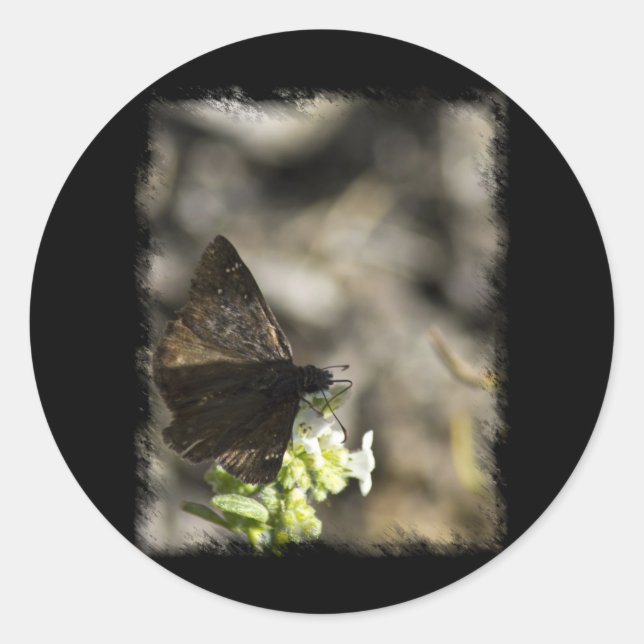 Sticker Rond Papillon Brown (Devant)