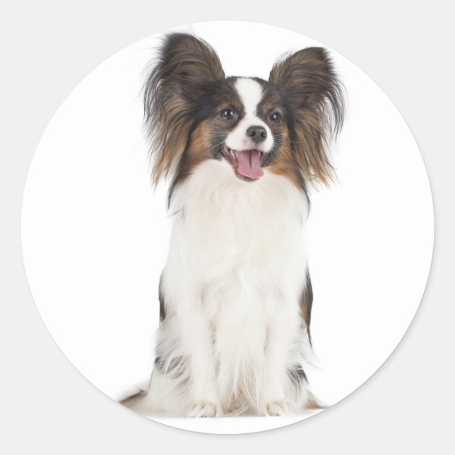 Sticker Rond Papillon Chien Chien Chien - Chien d'Amour (Devant)