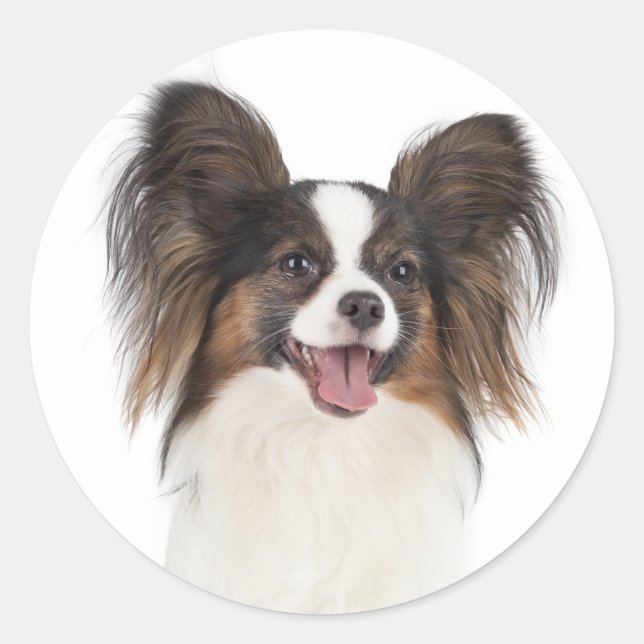 Sticker Rond Papillon chiot - Aimer les chiots (Devant)