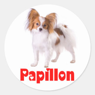Sticker Rond Papillon Chiot - Amour des Chiots, Bonjour