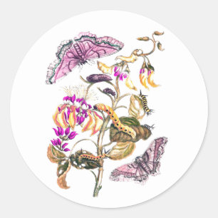 Sticker Rond Papillon de fleur d'illustration de nature vintage