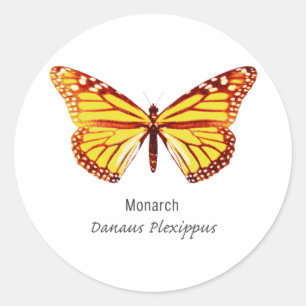Sticker Rond Papillon de monarque avec le nom